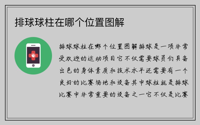 排球球柱在哪个位置图解