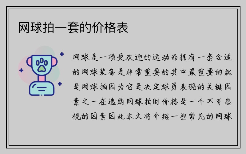 网球拍一套的价格表