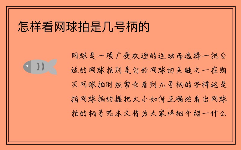 怎样看网球拍是几号柄的