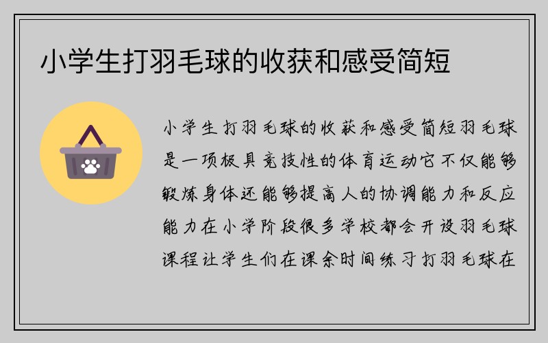 小学生打羽毛球的收获和感受简短